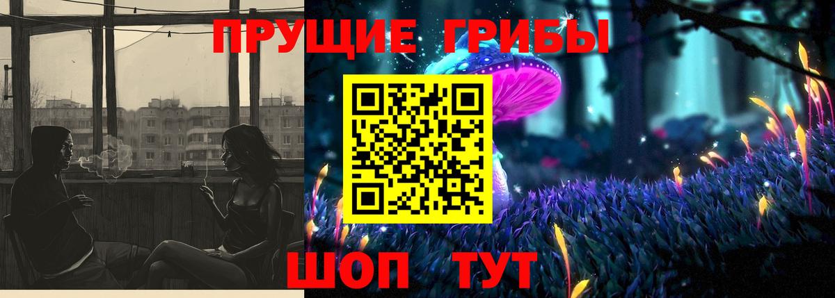 Галлюциногенные грибы Psilocybe  Вход с VPN  Назрань  Галлюциногенные грибы MAGIC MUSHROOMS 